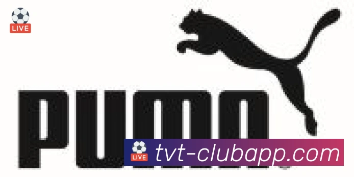 TVT体育合作伙伴